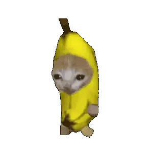 Банан кот