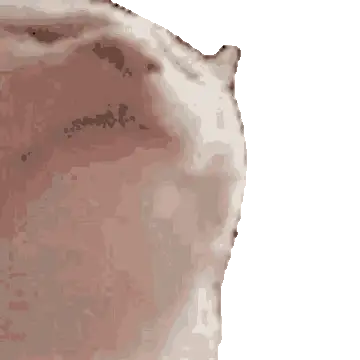 Кот вайб