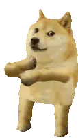 Дож